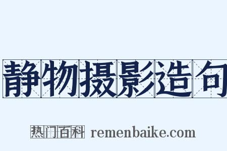 静物摄影造句是什么意思的图片